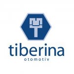 Tiberina