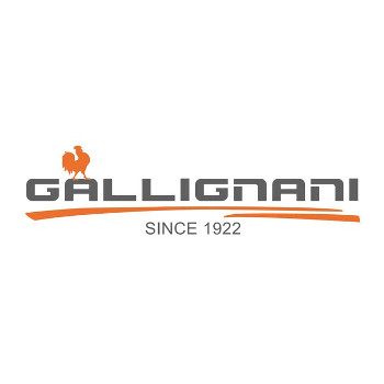 Gallignani